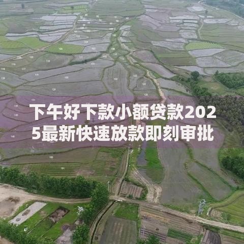 下午好下款小额贷款2025最新快速放款即刻审批无回访秒到账