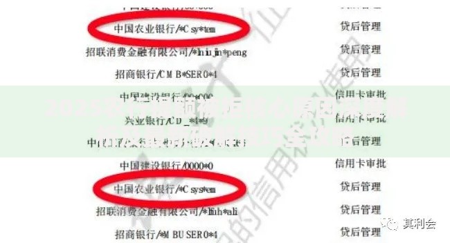 2025农行提额被拒核心原因深度解析及最新破解技巧全攻略 2025农行提额被拒核心原因深度解析及最新破解技巧全攻略