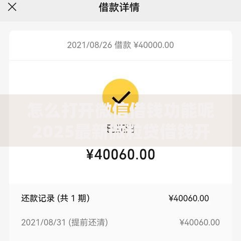 怎么打开微信借钱功能呢2025最新微粒贷借钱开通使用流程