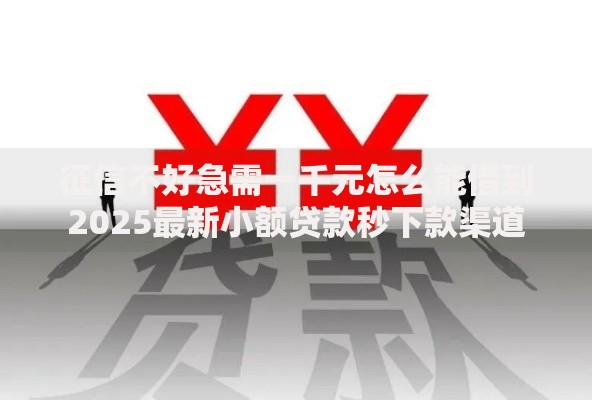 征信不好急需一千元怎么能借到2025最新小额贷款秒下款渠道