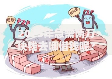 2025年急需两万块钱去哪借钱呢？急用钱正规平台与最新借款方案