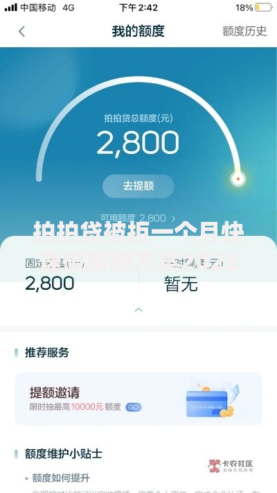 拍拍贷被拒一个月快速破解新方案2025年解决秒批技巧攻略