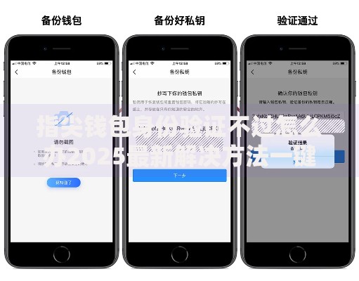 指尖钱包身份验证不过怎么办2025最新解决方法一键通过验证技巧 指尖钱包身份验证不过怎么办2025最新解决方法一键通过验证技巧