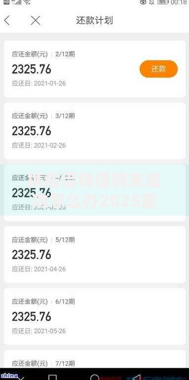 携程借钱借钱未成功怎么办2025最新攻略和解决方案分享 携程借钱借钱未成功怎么办2025最新攻略和解决方案分享