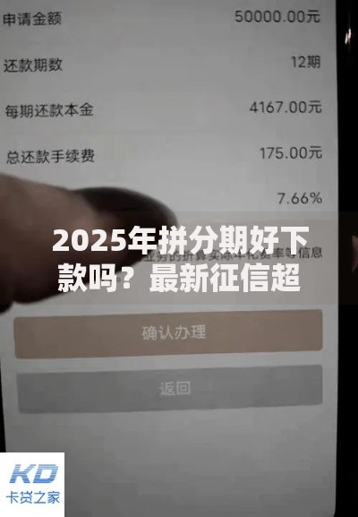 2025年拼分期好下款吗？最新征信超花高通过率口子实测