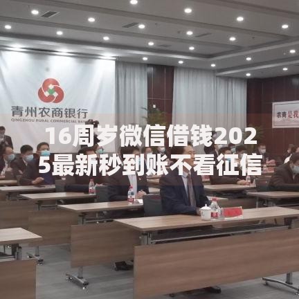 16周岁微信借钱2025最新秒到账不看征信下款快无需担保 16周岁微信借钱2025最新秒到账不看征信下款快无需担保