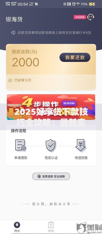 2025好享贷下款技巧全攻略：最新实战下款方法详解