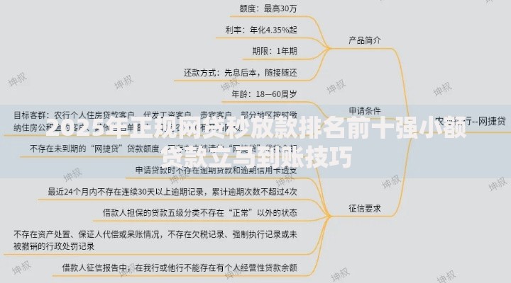2025年正规网贷秒放款排名前十强小额贷款立马到账技巧