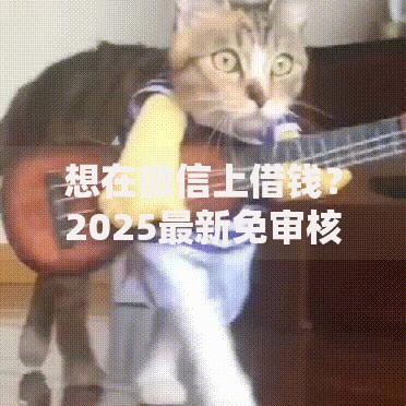 想在微信上借钱？2025最新免审核极速到账通道全解析