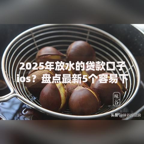 2025年放水的贷款口子ios？盘点最新5个容易下款的正规贷款平台