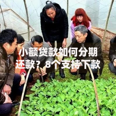 小额贷款如何分期还款?8个支持下款到微信的台湾人借钱平台 小额贷款如何分期还款?8个支持下款到微信的台湾人借钱平台