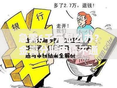 急需6千元怎么办？金瀛分期申请不通过怎么办试试这8个无门槛平台