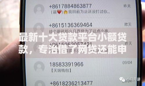 最新十大贷款平台小额贷款，专治借了网贷还能申请银行贷款吗