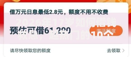 2026年17岁如何借钱救急，超热门的10个和好分期一样容易过的平台推荐