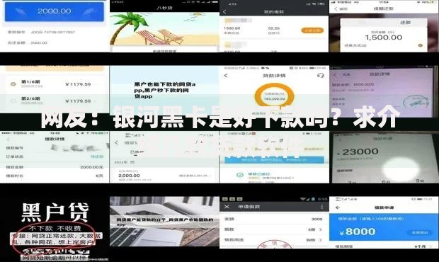 网友：银河黑卡是好下款吗？求介绍几款贷款软件