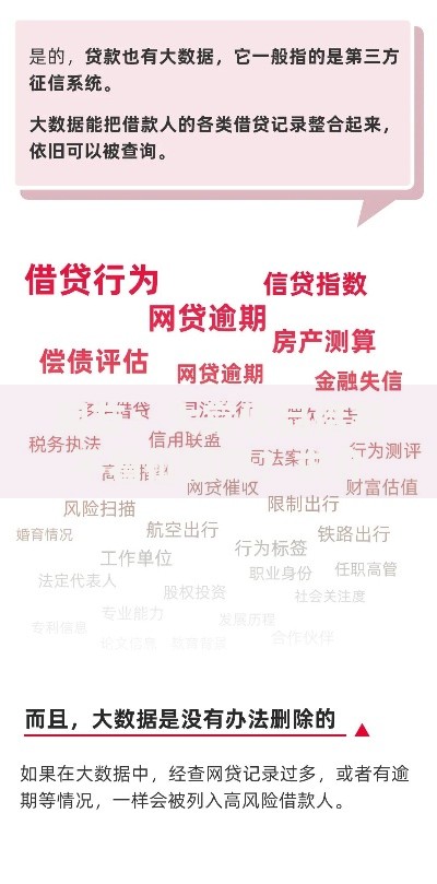 网友：大棠优品借款不看征信吗？求介绍几款征信花了可以借钱的网贷口子