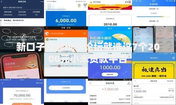 新口子众鑫玩卡论坛就选这7个2000元小米贷款平台
