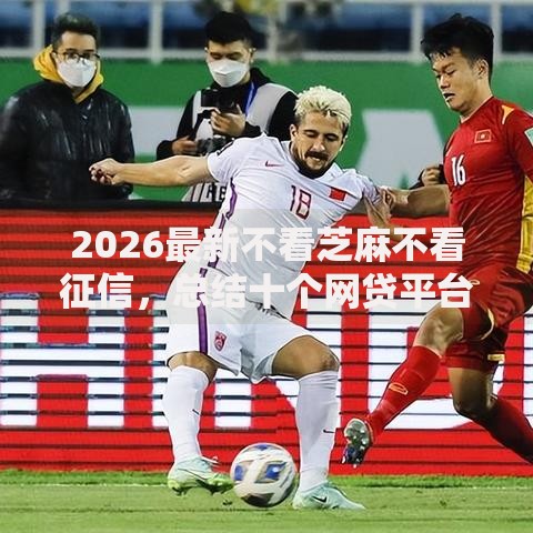 2026最新不看芝麻不看征信，总结十个网贷平台投诉！