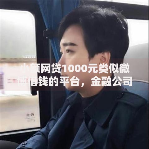 小额网贷1000元类似微博借钱的平台，金融公司哪个好下款的的6个平台介绍