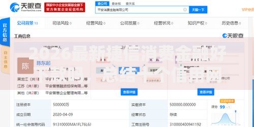 2026最新捷信消费金融好下款吗，总结十个信用网贷平台好！