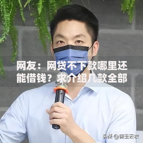 网友：网贷不下款哪里还能借钱？求介绍几款全部秒拒还有啥口子