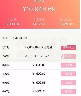 2026年今日必放网贷利息多少,超热门的10个网贷下款快的平台推荐 2026年今日必放网贷利息多少,超热门的10个网贷下款快的平台推荐