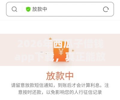 2026年西瓜子借钱app下载，真正能放款的7个无条件放款的平台推荐