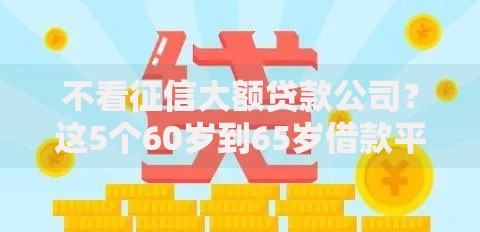 不看征信大额贷款公司？这5个60岁到65岁借款平台值得一试