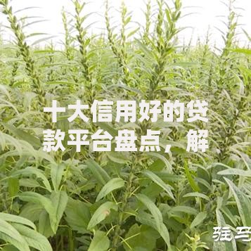 十大信用好的贷款平台盘点，解决芝麻分610哪里能贷款的问题