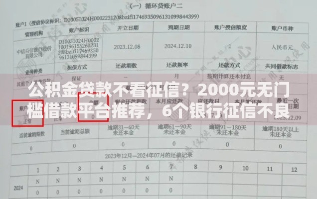 公积金贷款不看征信？2000元无门槛借款平台推荐，6个银行征信不良带不出来款还可以贷的平台盘点