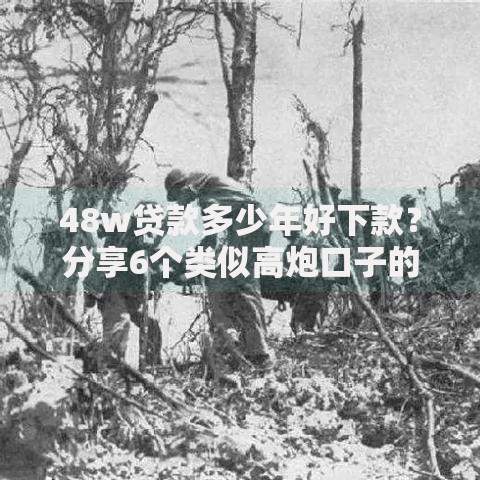 48w贷款多少年好下款？分享6个类似高炮口子的平台