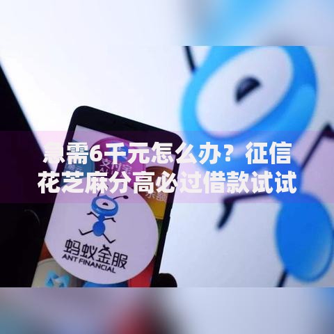 急需6千元怎么办？征信花芝麻分高必过借款试试这5个无门槛平台