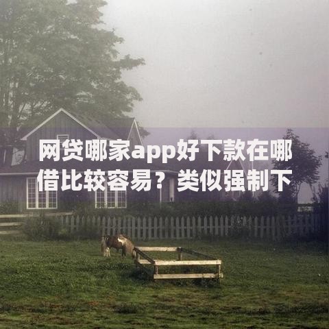 网贷哪家app好下款在哪借比较容易？类似强制下款的8个口子参考