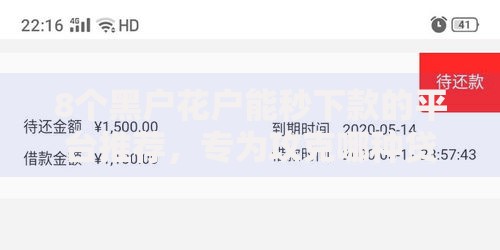8个黑户花户能秒下款的平台推荐，专为攻克哪种贷款好下款又可靠难题