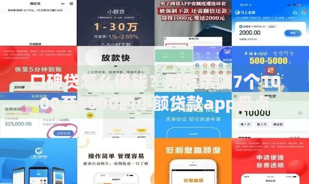 口碑贷怎么借钱？网友亲测7个1000至5000的小额贷款app盘点