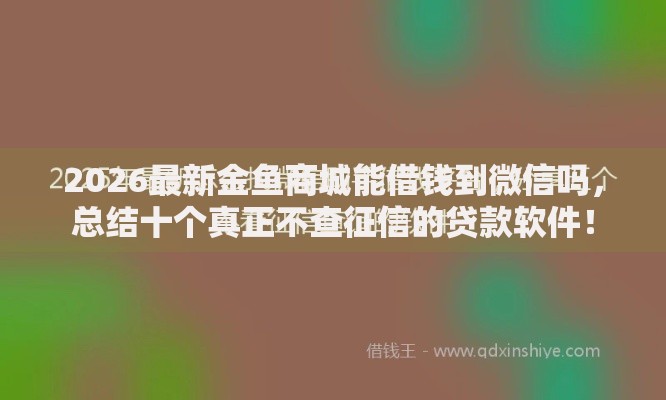 2026最新金鱼商城能借钱到微信吗,总结十个真正不查征信的贷款软件! 2026最新金鱼商城能借钱到微信吗,总结十个真正不查征信的贷款软件!