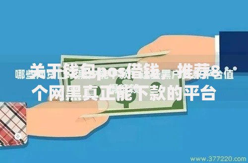 关于钱包pos借钱，推荐8个网黑真正能下款的平台给你