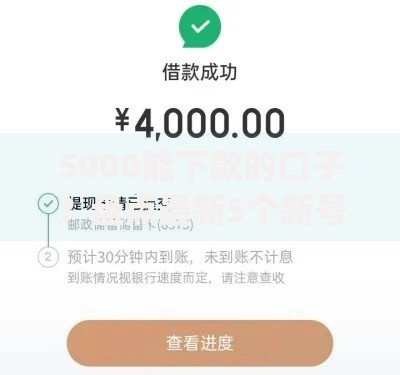 5000能下款的口子？盘点最新5个新号易贷速审秒下款app