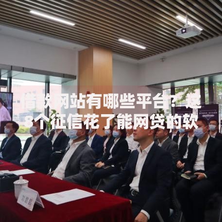 借款网站有哪些平台？这8个征信花了能网贷的软件值得一试