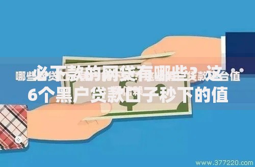 必下款的网贷有哪些？这6个黑户贷款口子秒下的值得一试