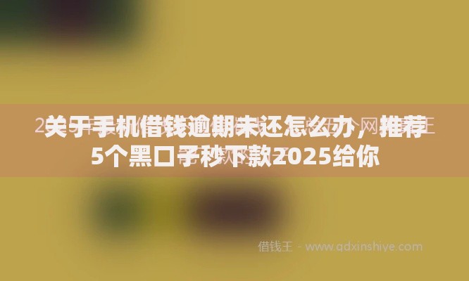 关于手机借钱逾期未还怎么办，推荐5个黑口子秒下款2025给你