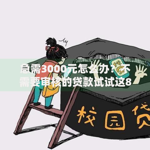 急需3000元怎么办？不需要审核的贷款试试这8个无门槛平台
