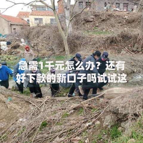 急需1千元怎么办？还有好下款的新口子吗试试这8个无门槛平台