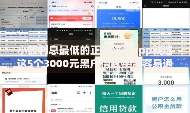 小额利息最低的正规贷款app就选这5个3000元黑户借款平台容易通过审核 小额利息最低的正规贷款app就选这5个3000元黑户借款平台容易通过审核