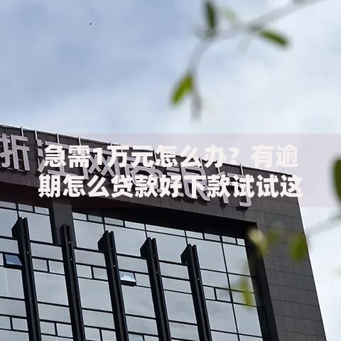 急需1万元怎么办？有逾期怎么贷款好下款试试这7个无门槛平台