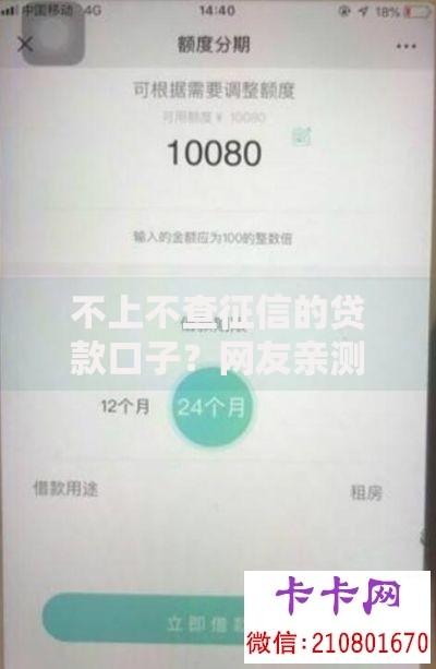 不上不查征信的贷款口子？网友亲测8个大老黑能下款的口子盘点
