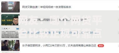 网友：哪个网贷平台比较正规可靠点？求介绍几款无视黑户的口子