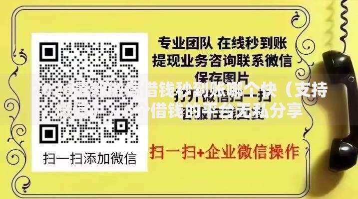 2026最新微信借钱秒到账哪个快（支持微信），6个借钱的平台无私分享