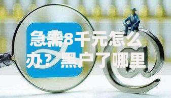 急需8千元怎么办？黑户了哪里可以借网贷呢试试这6个无门槛平台