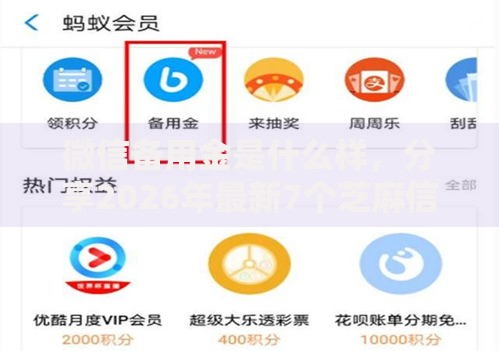 微信备用金是什么样，分享2026年最新7个芝麻信用439分下款的软件